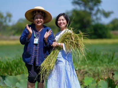 SS Rice News Convention 2025, Pattaya - Thailand